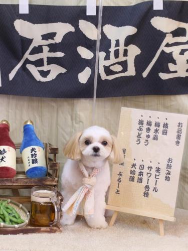 20240612みるくちゃん